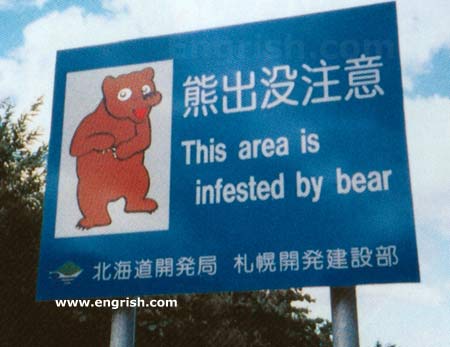 Funny Pictures go here Bear-infestation