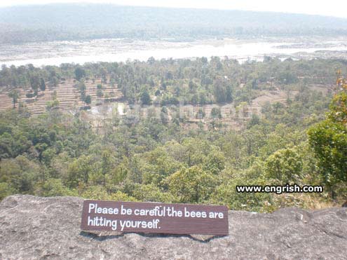 http://www.engrish.com//wp-content/uploads/2009/10/bees-are-hitting-yourself.jpg