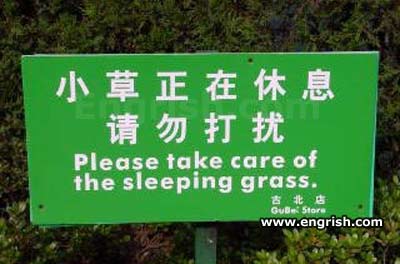 take-care-of-sleeping-grass.jpg