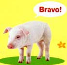engrishwebmaster's avatar