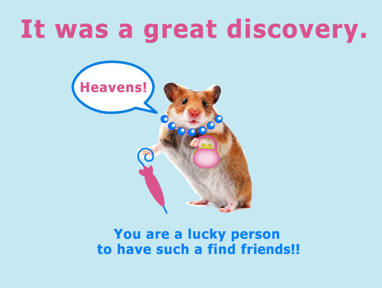 heavens_hamster-tshirt.jpg