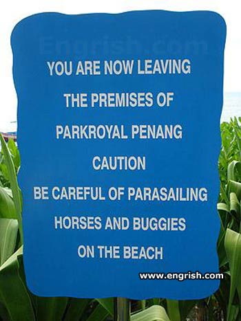parasailing-horses-buggies.jpg