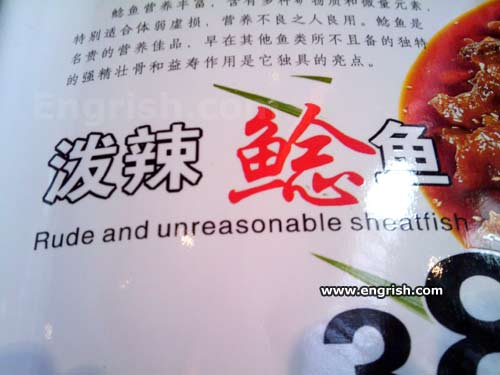 rude-and-unreasonable-sheatfish.jpg