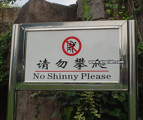 no-shinny-please.jpg