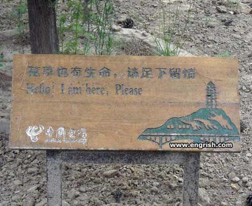 hello-i-am-here-please