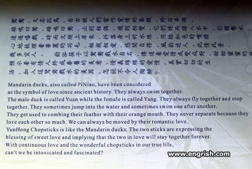 intoxicated-and-fascinated