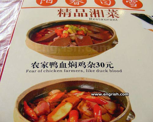 fear-of-chicken-farmers