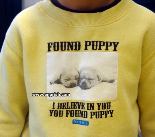 found-puppy