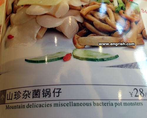 bacteria-pot-monsters