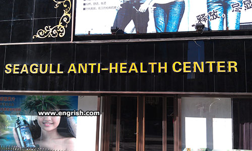 seagull-anti-health-center