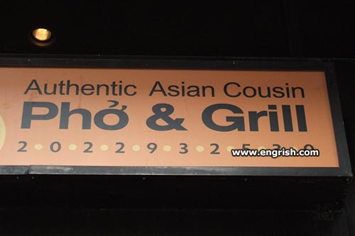 authentic-asian-cousin