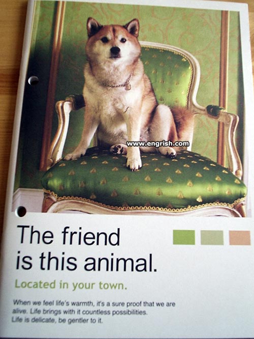 friend-is-this-animal
